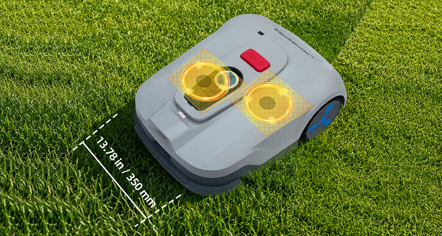 Previous lawn size